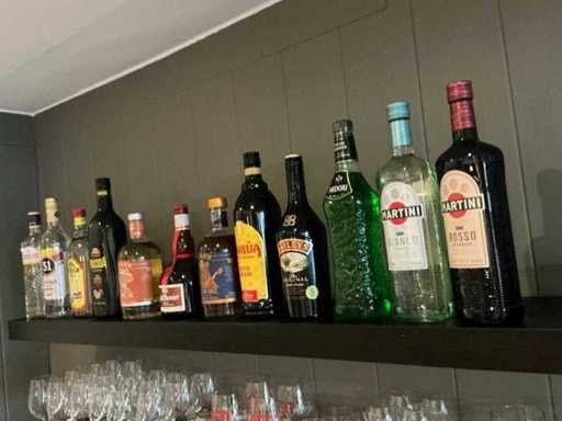 Diverse flessen Geestrijke drank (11x)