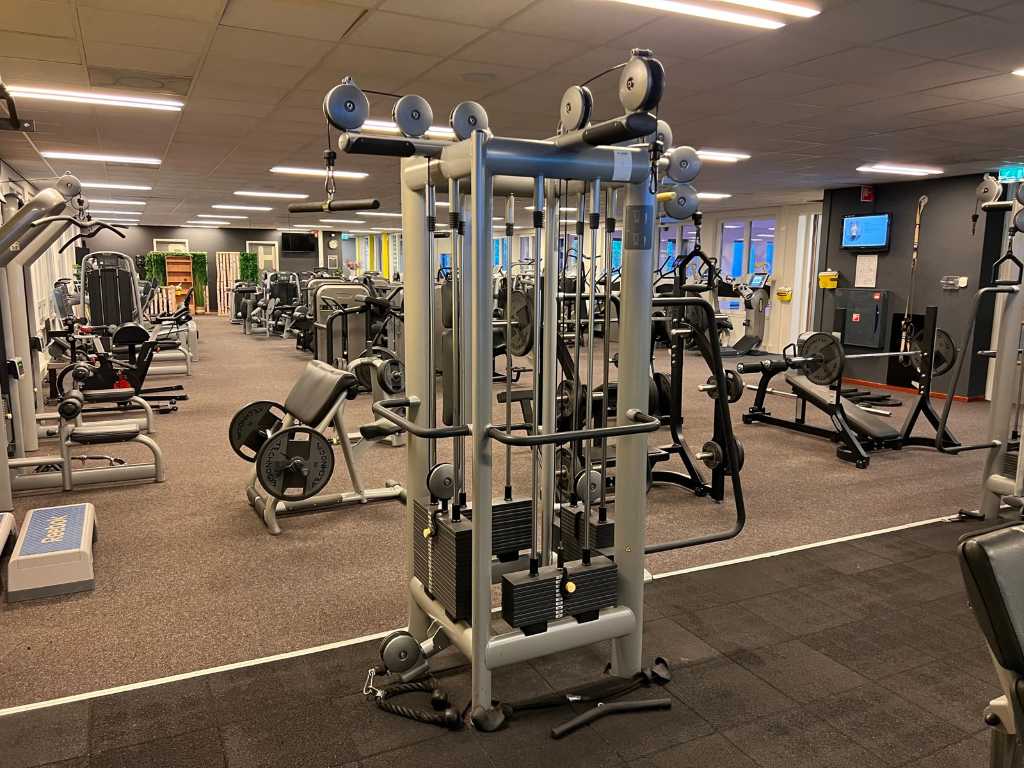 Jungle de câbles Technogym