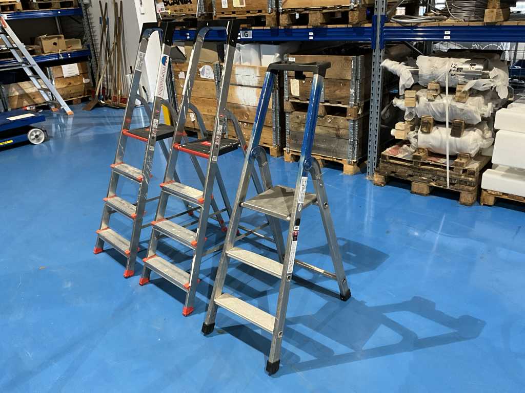 Altrex and Kelfort Household Ladder (3x)