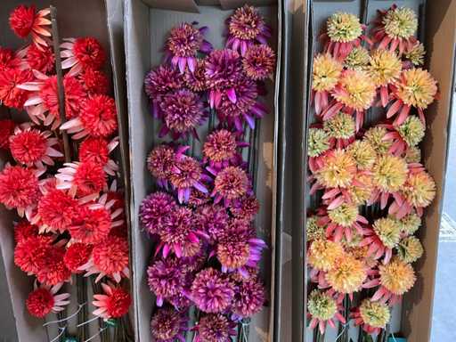 Silka Lot de fleurs artificielles