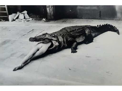 Foto/Stampa fuori set Helmut Newton