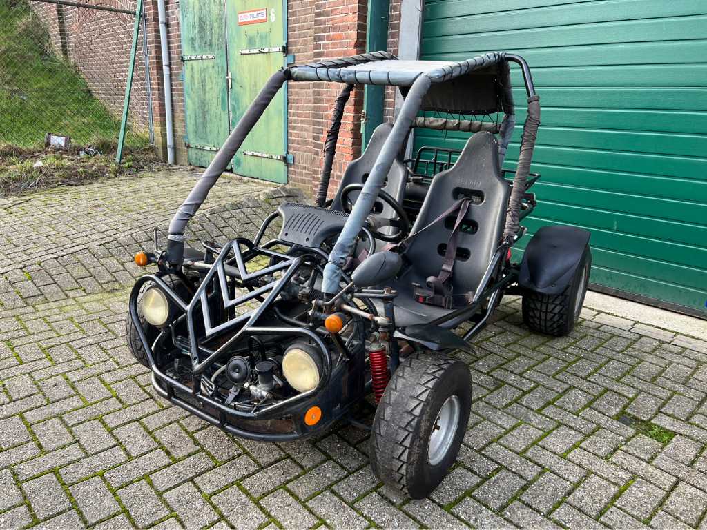 Gsmoon Side by Side Quad Buggy | Troostwijk Auctions