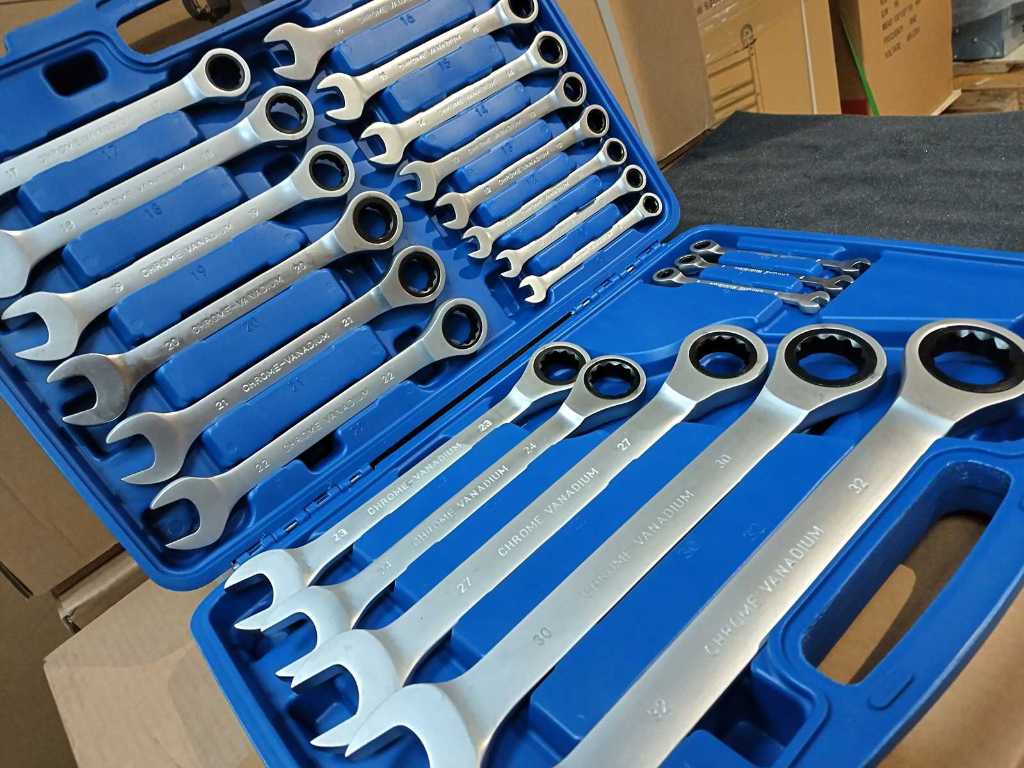 2x Pitch and ring ratchet wrench set 22 pieces