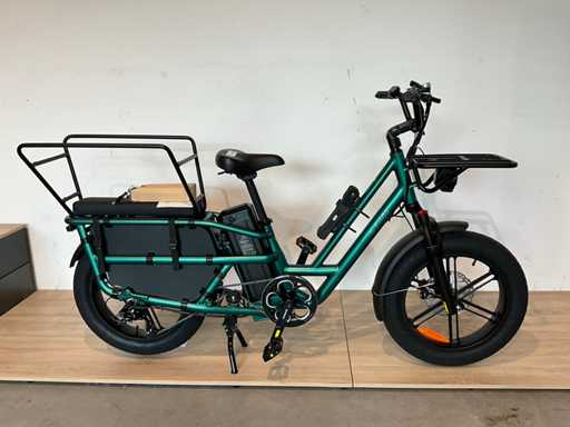 Fiido T2 Transportfiets