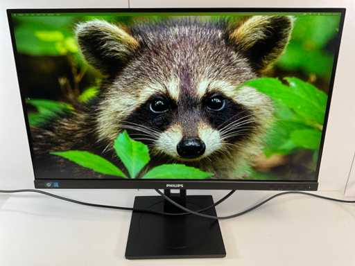 Philips (276B1) 27", 2560x1440 (QHD) IPS Monitor