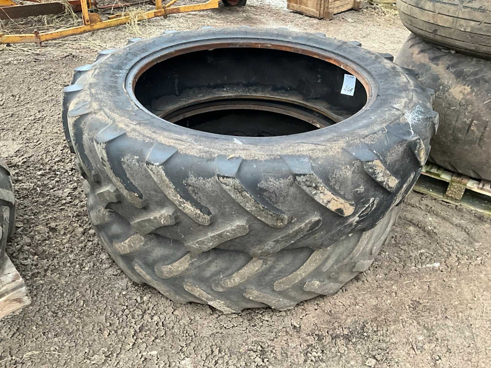 Michelin Tire (2x)