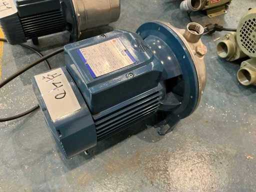 Pedrollo CPm 170-STA Stainless Steel Centrifugal Pump - Water Pump