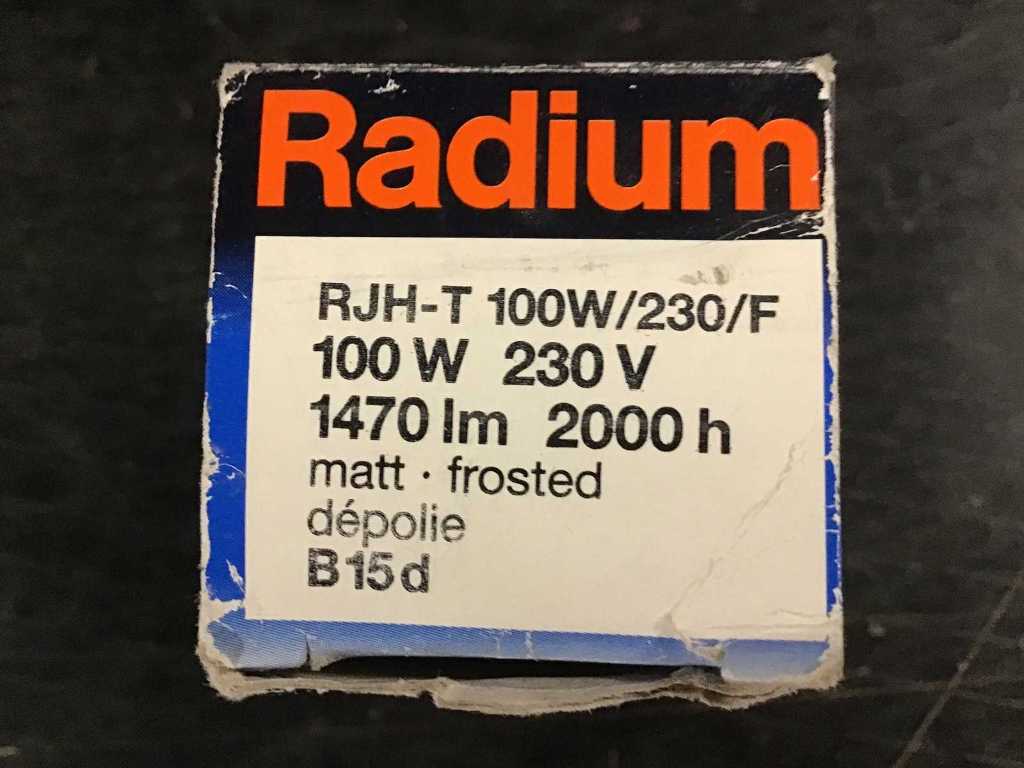 RADIUM - RJH-T 100W/230/F 
