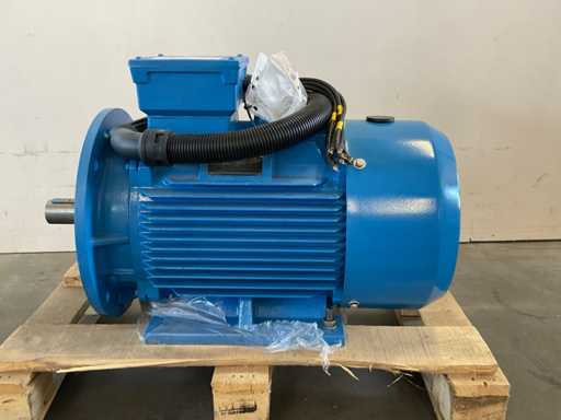 Motor eléctrico trifásico Almig SF1.2 2021