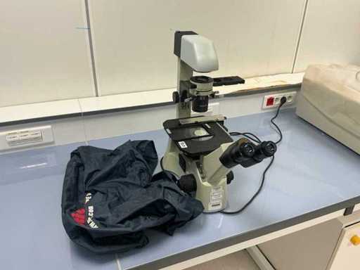 Mikroskop Motic AE30