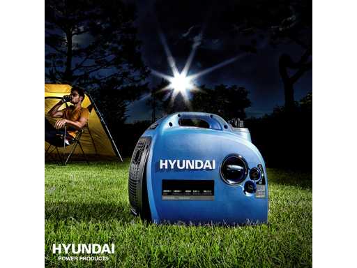 Delivery Auction Bankruptcy Dvize B.V. – Hyundai Power Products tools