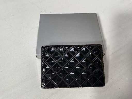 Titolare della carta di credito (224x)