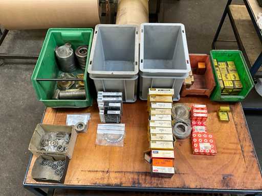 Lot de rulmen?i cu bile