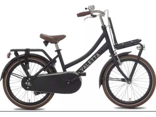 VALETTA Cargo Transport Bike Girl Bike 20 pollici Matte Black