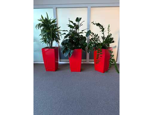 Pflanzen mit Topf (3x)