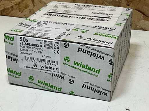 Wieland 25.346.4053.0 Kabelteil 10-polig Innenpol 2,5 mm² (50x)