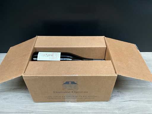 Domaine Ogereau La Saponaire Savennieres 2021 (6x)