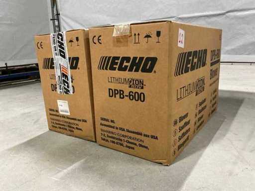 Souffleuse à feuilles Echo DPB-600 (2x)