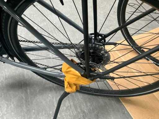 Diamant Elan Deluxe Herenfiets