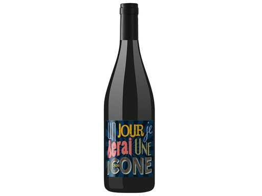 2020 - One Day I Be a Icon - Jeff Carrel - Wijn van Frankrijk - Rode wijn (6x)
