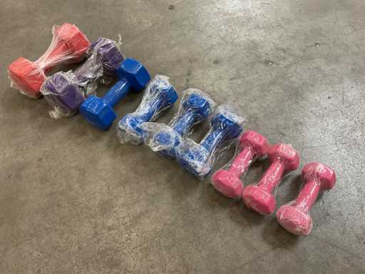 Lotto di manubri, 9 pezzi