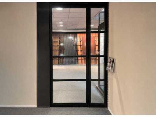 Pivot door 2578x1389 mm