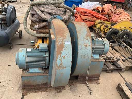 Ventaglio pavone per tutto il giorno (2x)