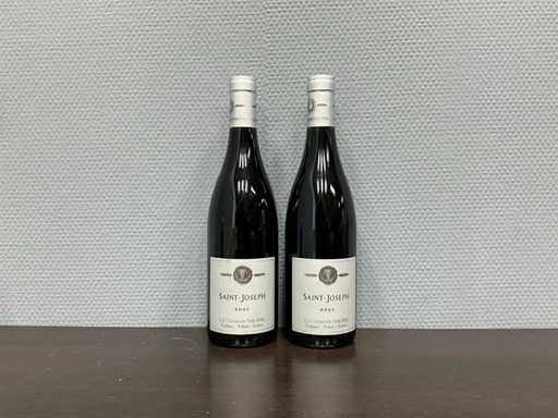 Vins de Vienne Saint Joseph 2021 (2x)
