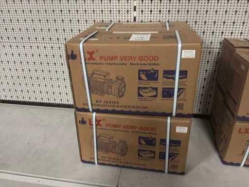 Guangdong Wp300 Hydromassage pomp voor zwembad (4x)