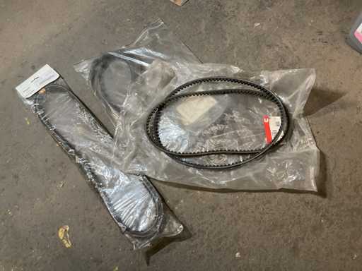 Différentes ceintures (3x)