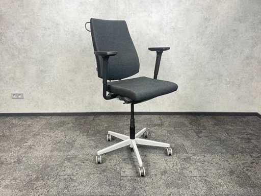 Sedus Black Dot - ergonomic office chair - high gas spring
