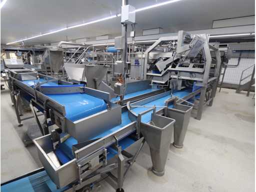 Aardappel sorteerlijn