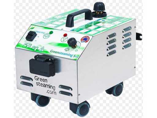 Aburire verde - 7 - Curățător cu abur