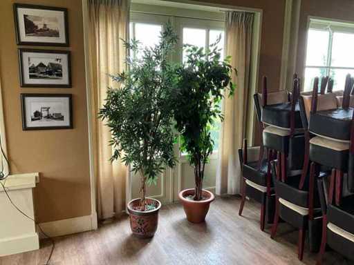 Artificial plants in pots (2x)
