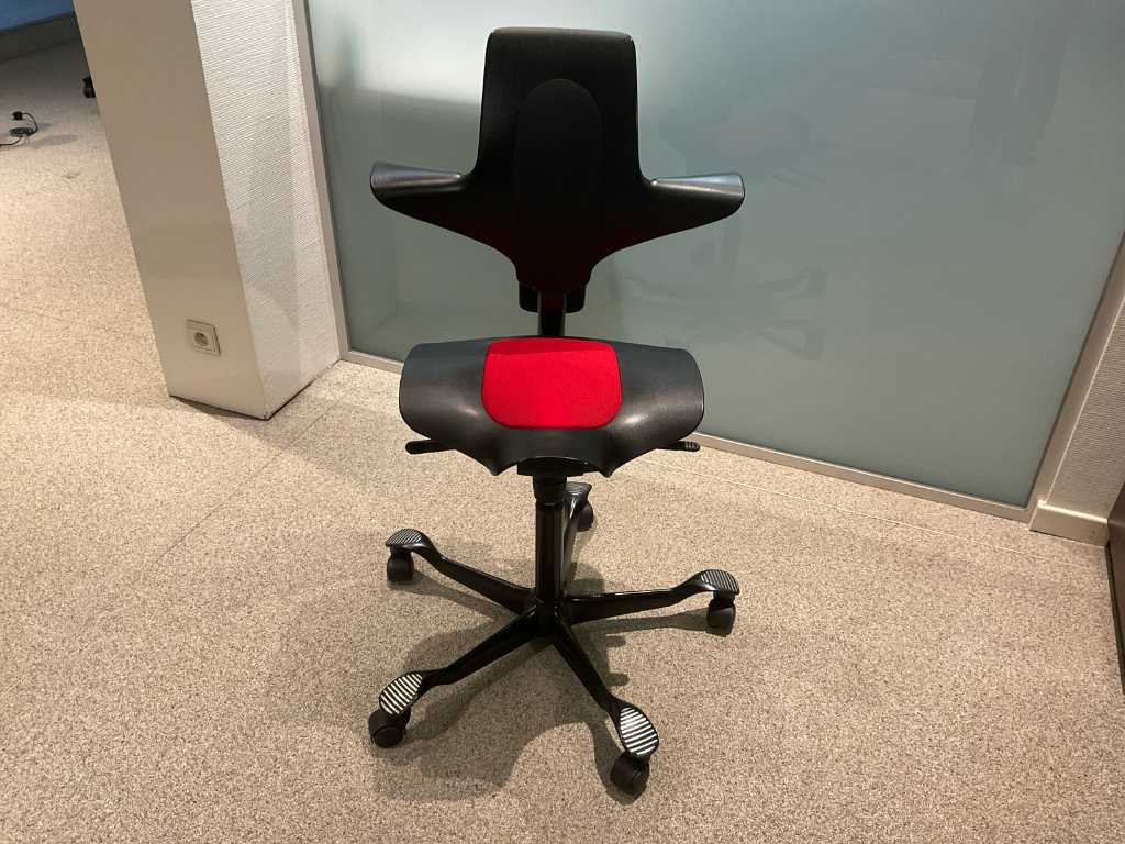 HÅG Capisco Office Chair