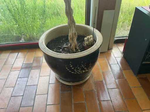 Stone Flower Pot (4x)