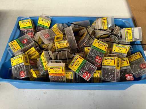 Rotadrill Diverse schroeven RVS, verzinkt en messing in blister (100x)