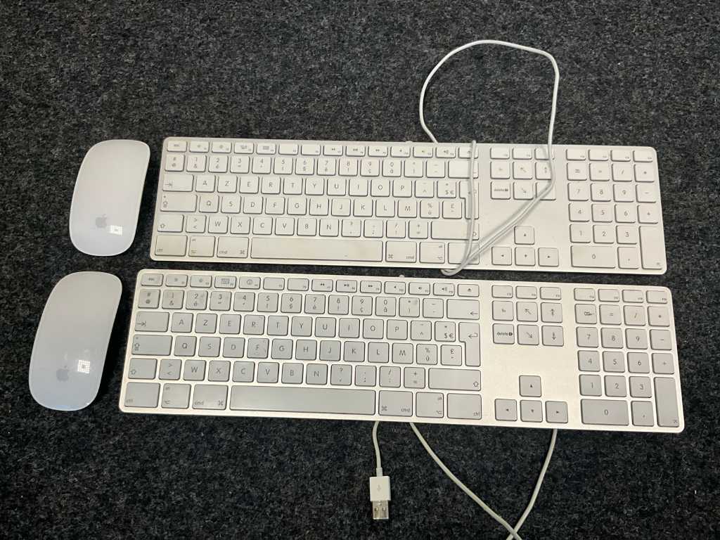 2 toetsenborden en 2 muizen APPLE