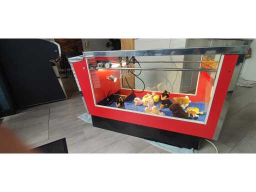 Holly Cranes - Grijpkraan