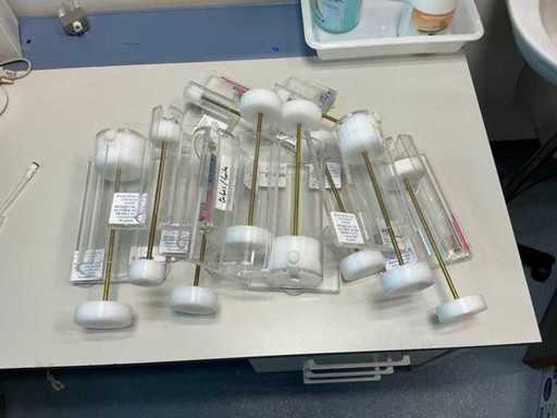 Bioseb Dispositifs de retenue (9x)
