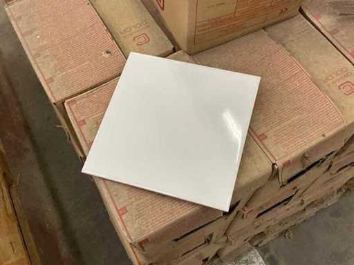 Environ 60 m2 de tuiles Ceramika 20x20