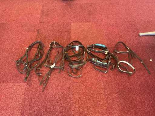Bridles (5x)