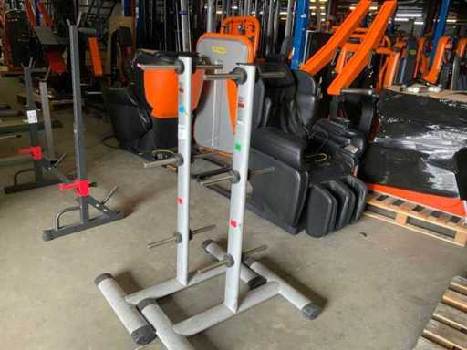Gym80 Signum schijven spin Krachtstation