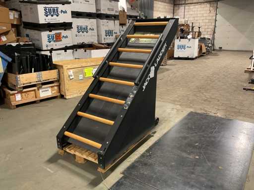 Jacobs Ladder Stepper