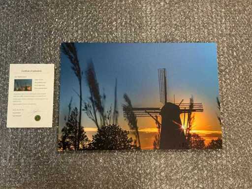 Stampa "Mulino a vento al tramonto"