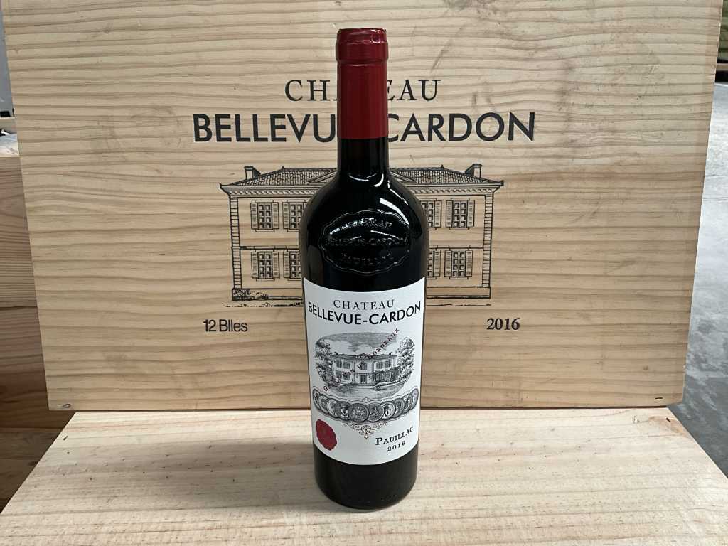 12x Bouteille de vin rouge CHATEAU BELLEVUE-CARDON 2016