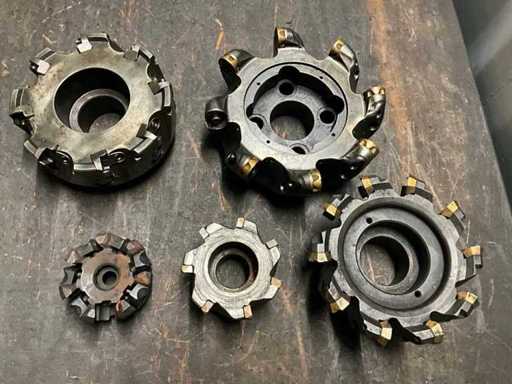 Diverse freeskoppen (5x)