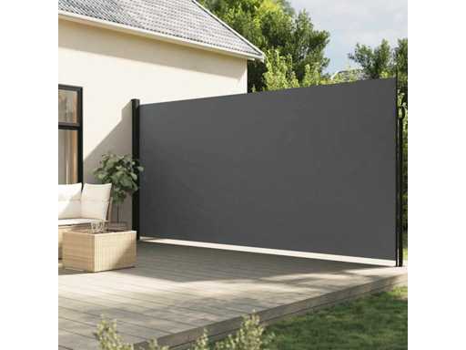 Auvent latéral rétractable anthracite 200x500 cm