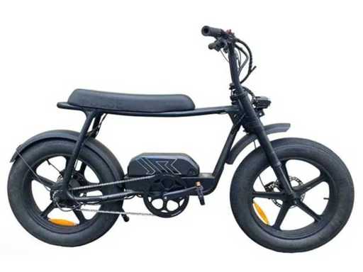 Pulse - C1 - Fatbike 