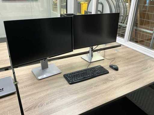Dell Monitor (2x)
